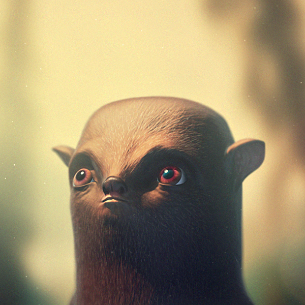 Portfolio Image