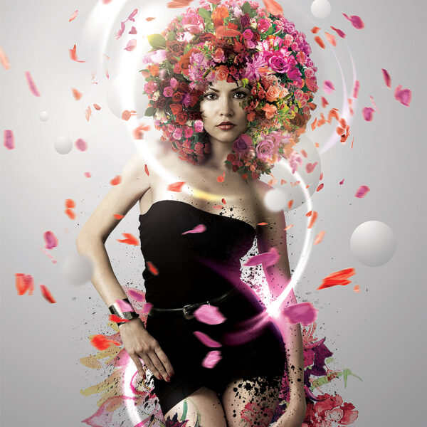 Portfolio Image