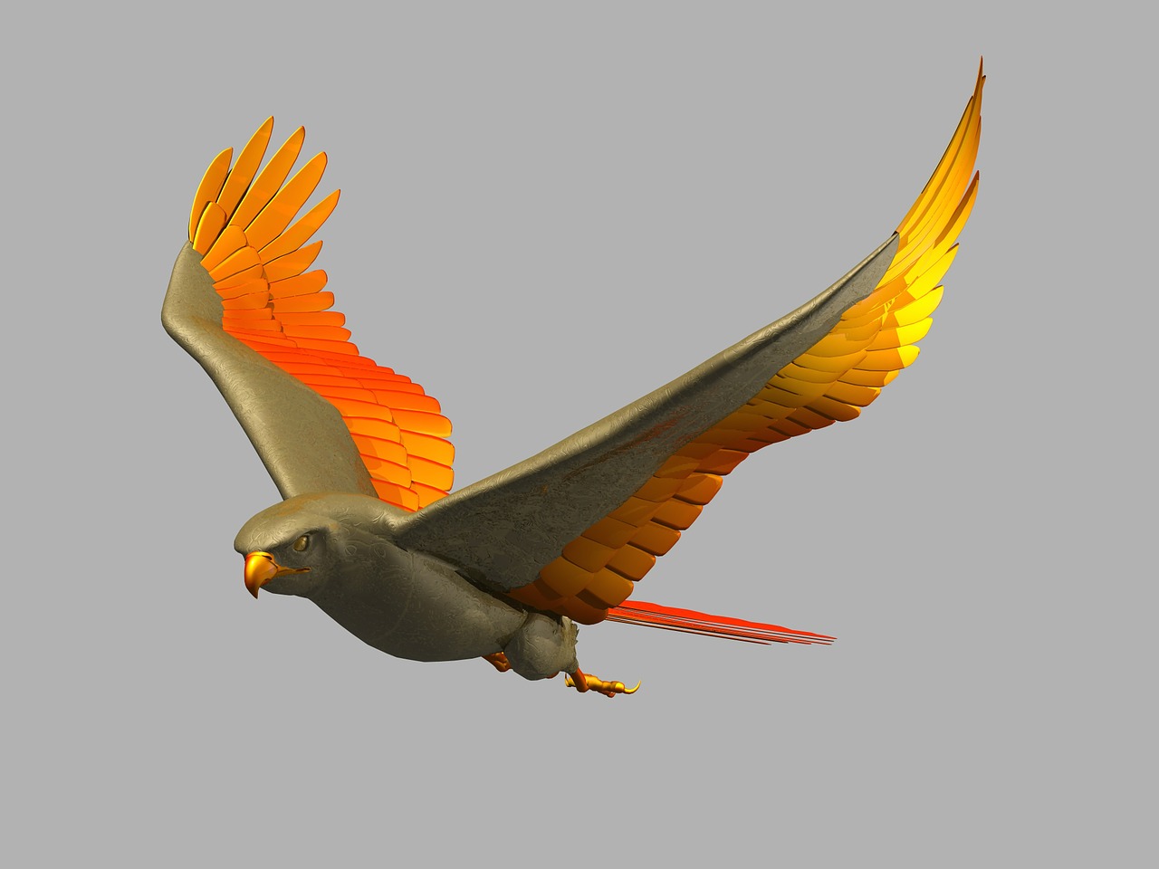 Portfolio Image