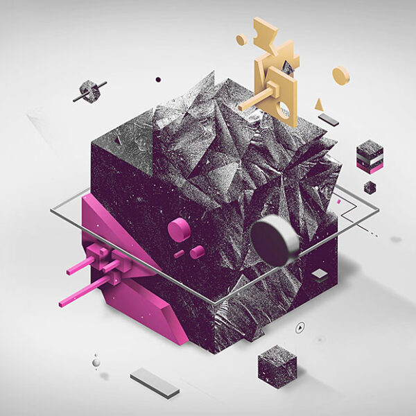 Portfolio Image